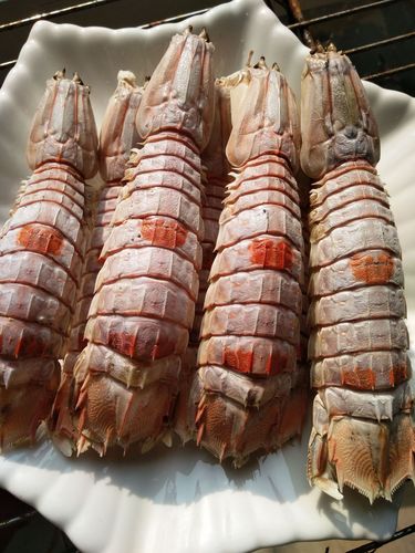 海捕虾婆干皮皮虾虾蛄干虾爬子批发海鲜干货海产品纯淡干无添500g